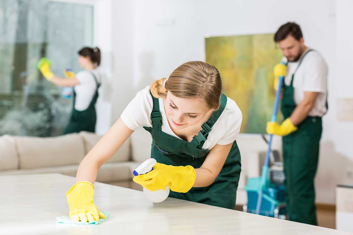 vernon house cleaning service